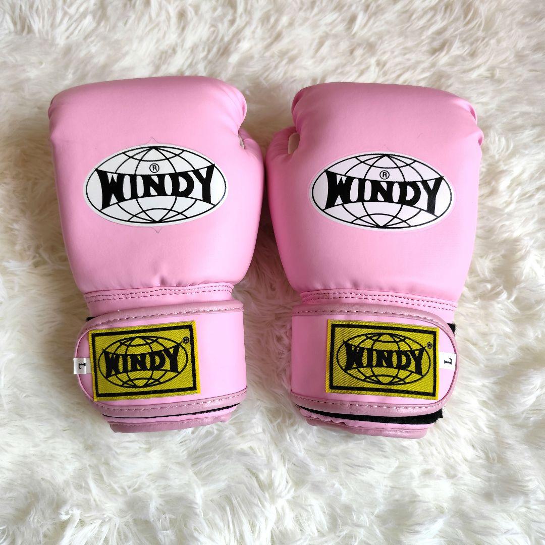 WINDY グローブ レディース キッズ L パンチ キック ミット まとめ売り