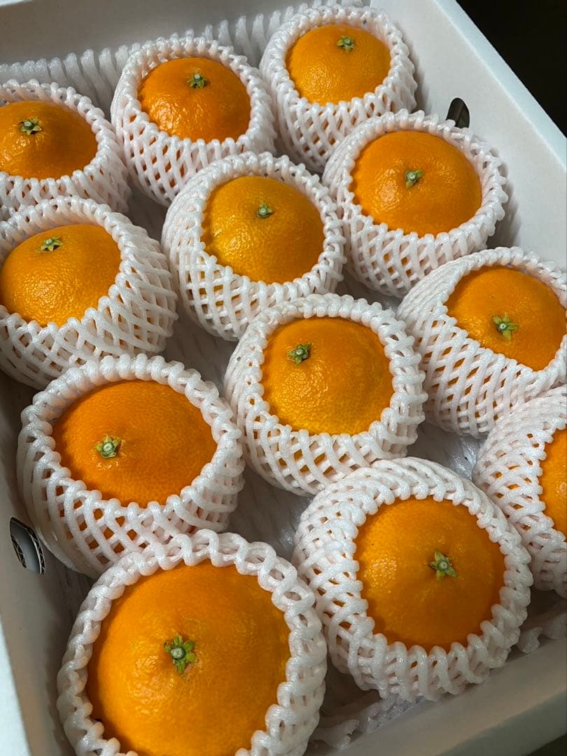 愛媛県産!!愛果28号(特選)L玉 12玉 空島まどんな