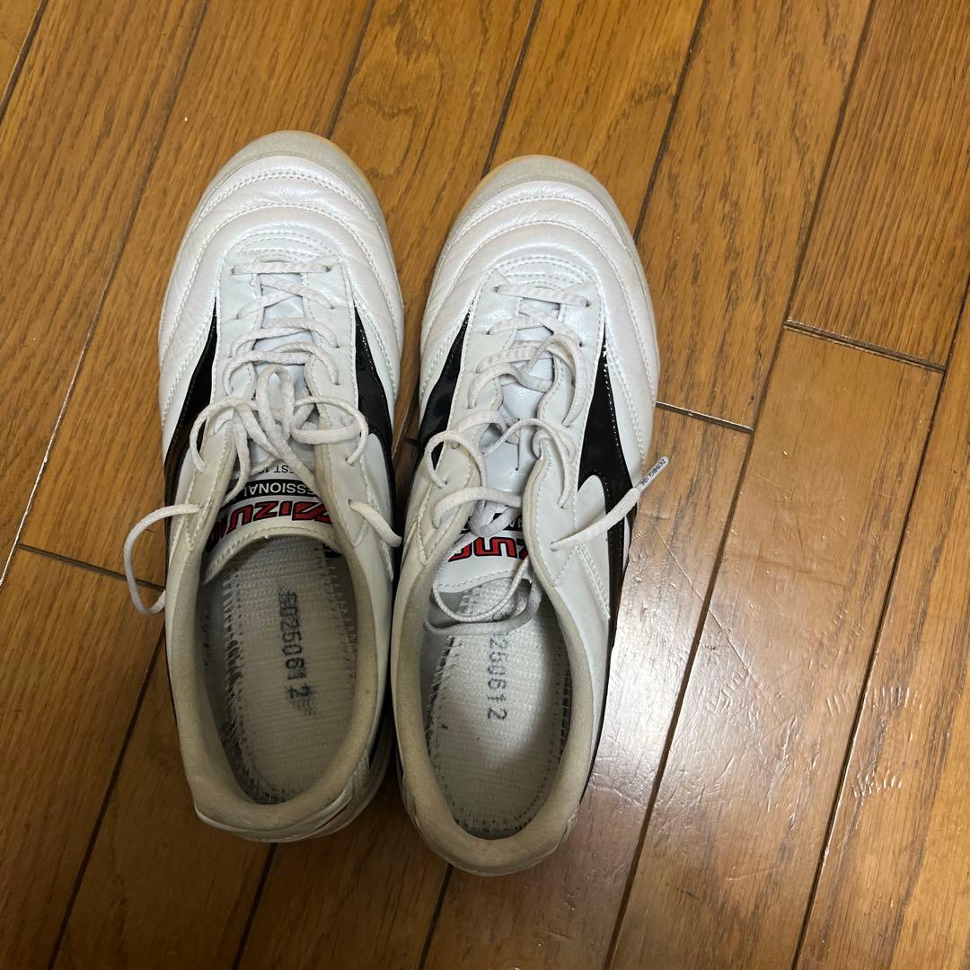 モレリア　サラ　エリートイン　26.5 インドア