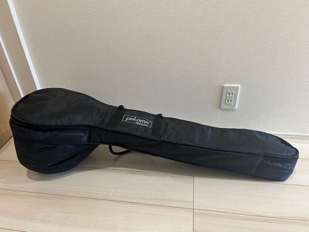 シタール インド 弦楽器 ソフトケース付き Paloma社製 キッズシタール
