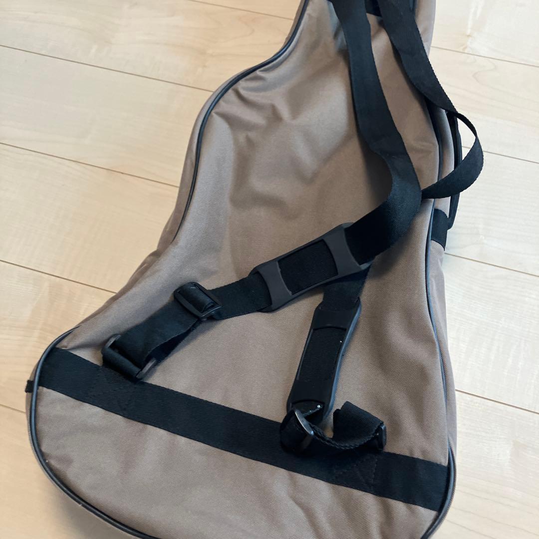 Art & Lutherie アコースティックギター