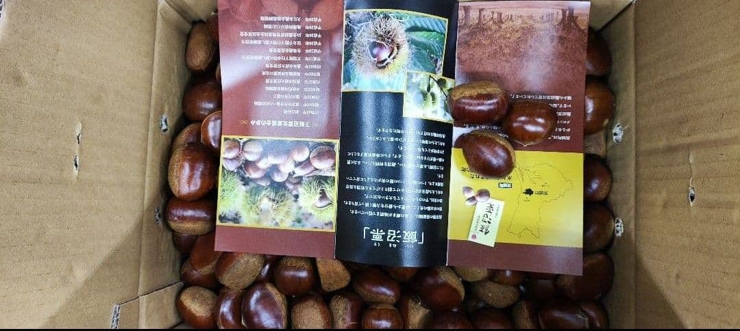 高級　飯沼栗　10kg　最終