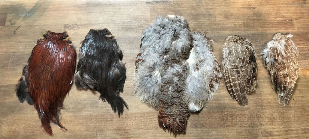 【フライタイイング】ハックル ケープ・クイル 5点まとめ売り