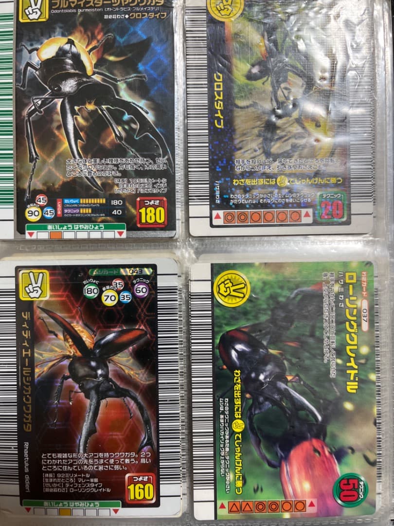 ムシキング  所持カード集