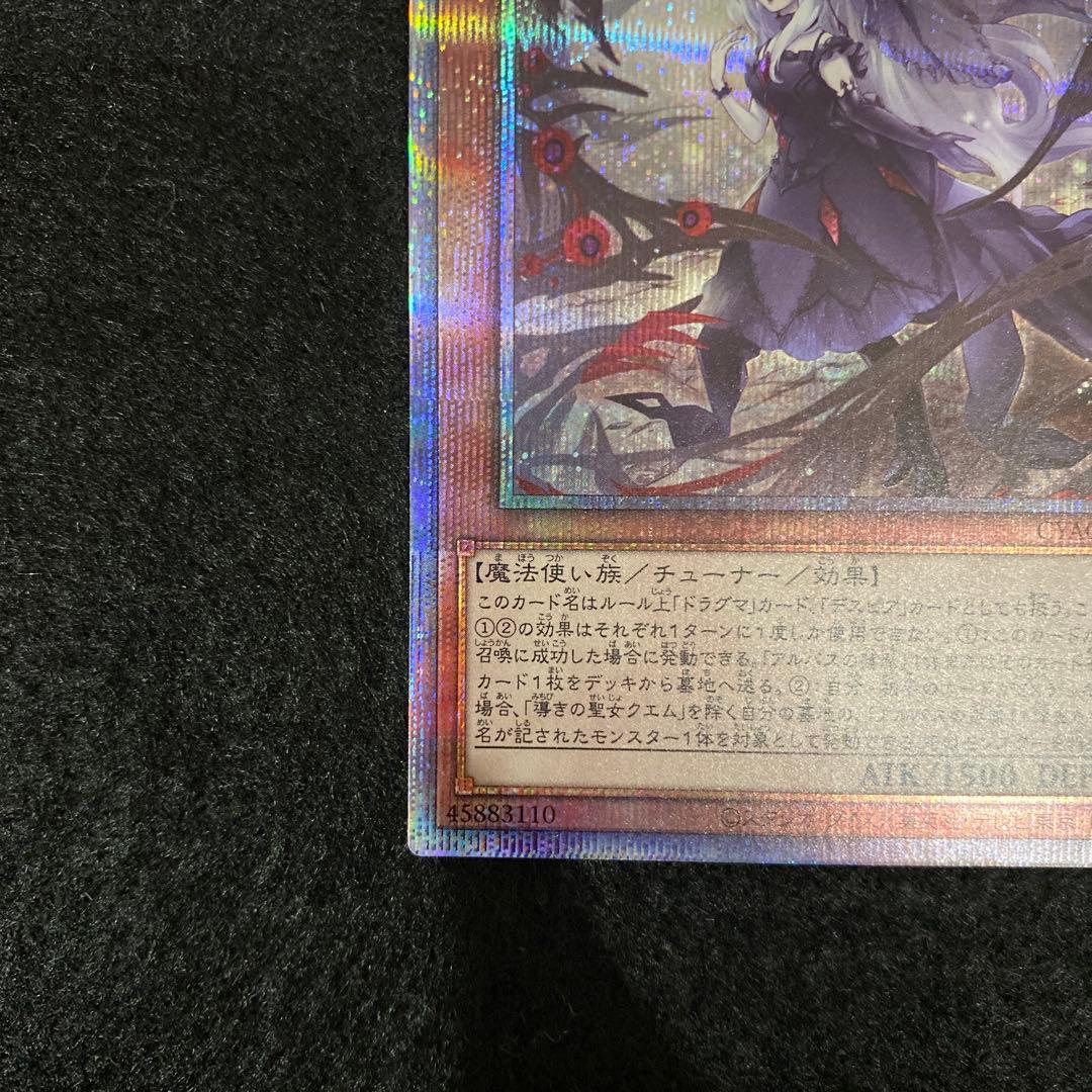 導きの聖女クエム　プリシク