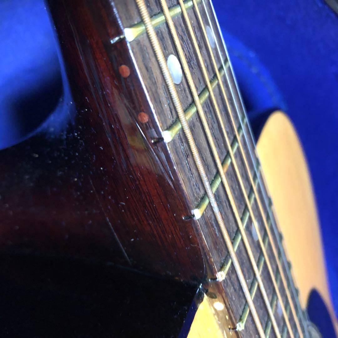 Kimberly ギター F-140