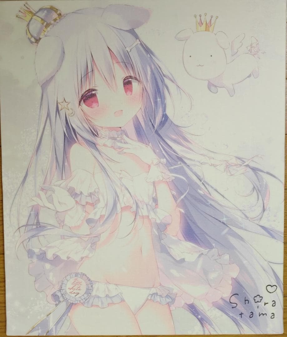 しらたまこ 10周年記念キャンバスアート しろいいぬ