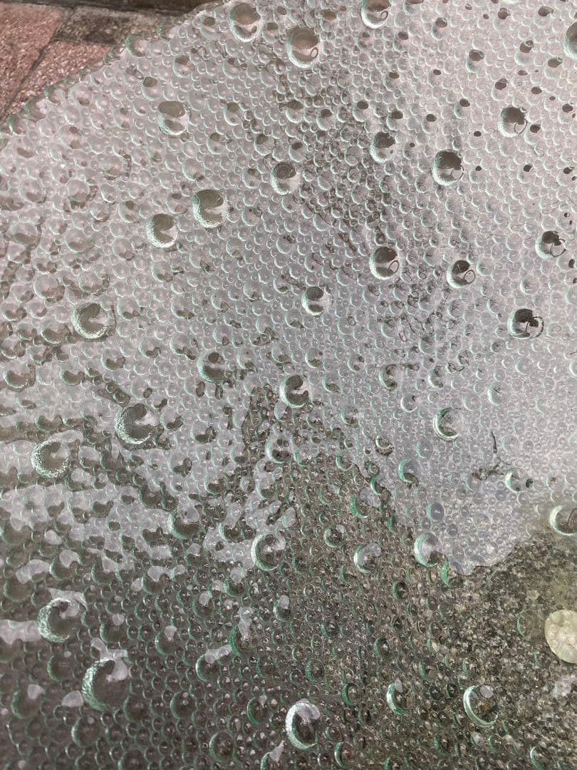 『fragile glass』スペイン製 ガラス 花器 水盤 華道