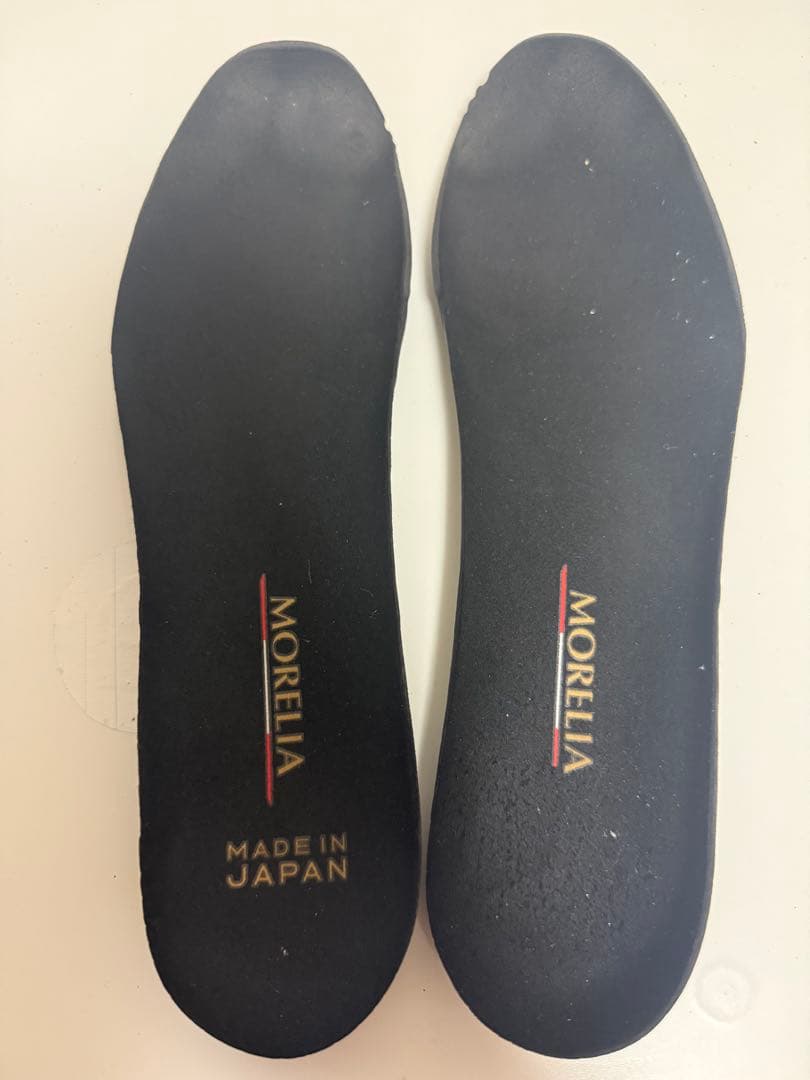 (限定カラー)ミズノモレリア2Japan 27.0