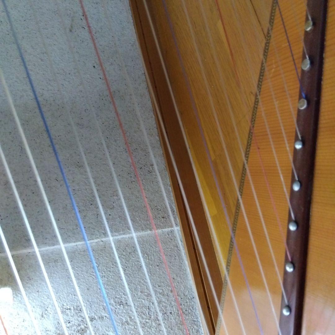 Paraguayan Harp(パラグアイ　アルパハープ)