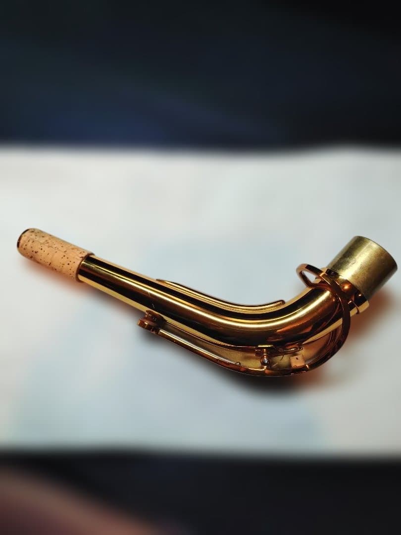 セルマー(Selmer)シュプレームアルトDARK GL(伊東たけし)選定品