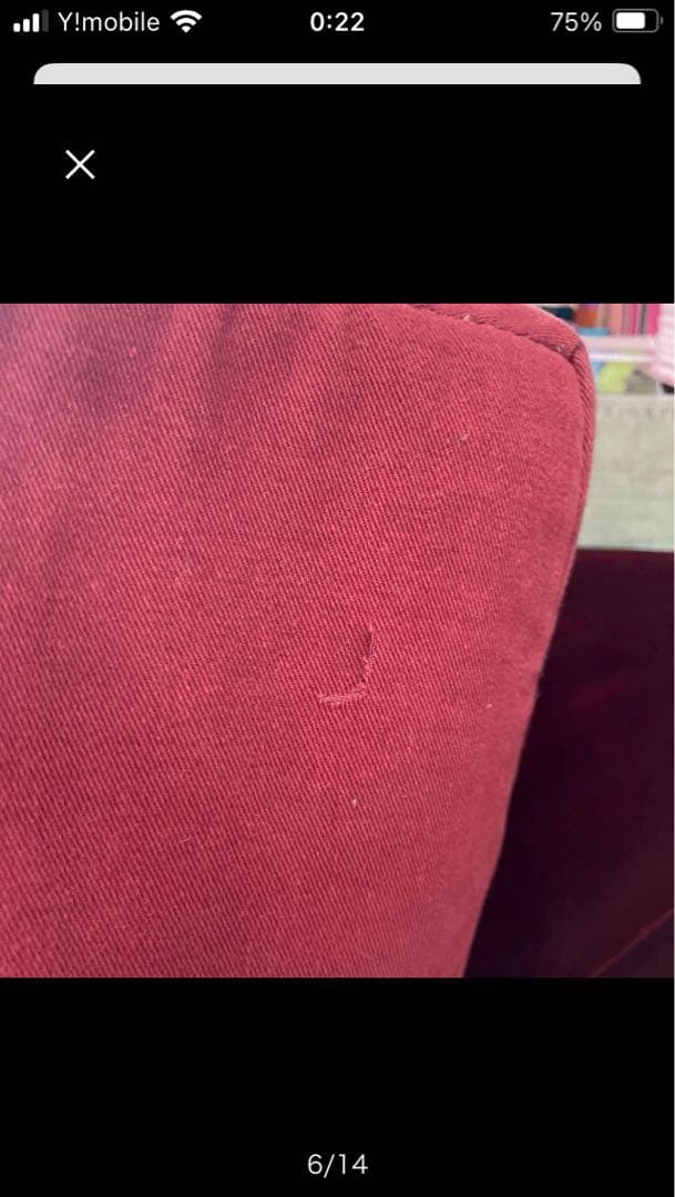 クリーム色ハープ、ソフトケース付き