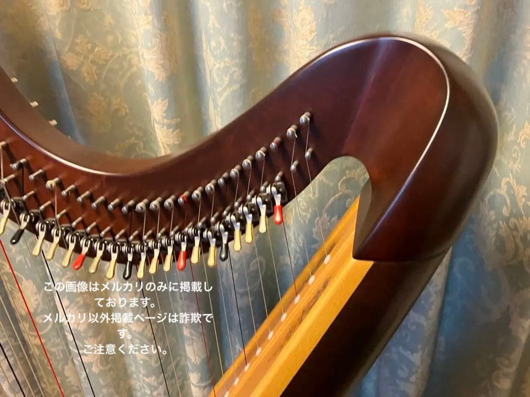 Lyon & Healy Harps ハープ