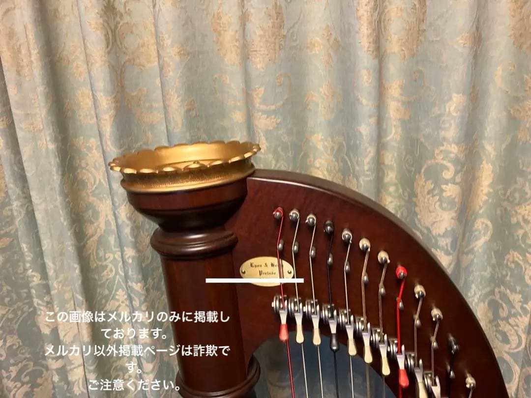 Lyon & Healy Harps ハープ