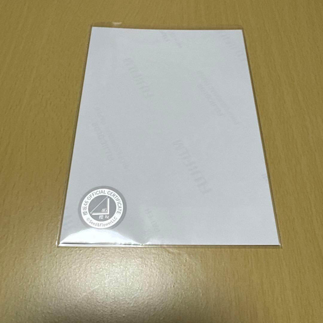 み*い様 櫻坂46 的野美青 【 2025年 サンタ衣装（直筆サイン入り）】 ア