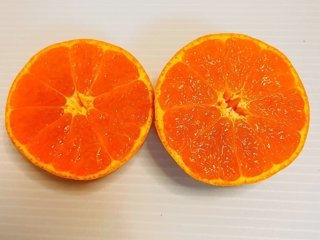 専用出品　ねこ✧プロフ必読様　2箱