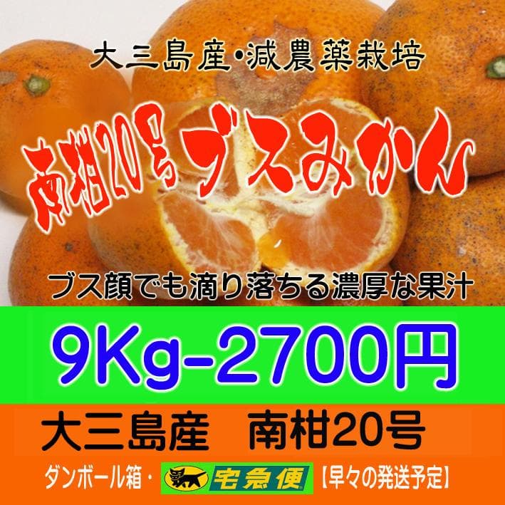 【とおる】ブス２０号9Kgレモン4Kg+小玉石地9Kg　２個口送り