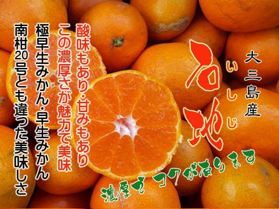 【とおる】ブス２０号9Kgレモン4Kg+小玉石地9Kg　２個口送り