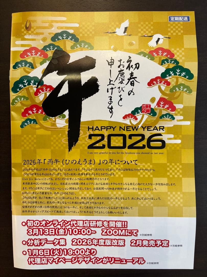 最新(2026/1/21受取り)☆ライフエッセンス☆1,000ml×1 本