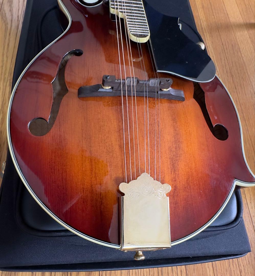 STAFFORD Traditional マンドリン 本体 ハードケース付き