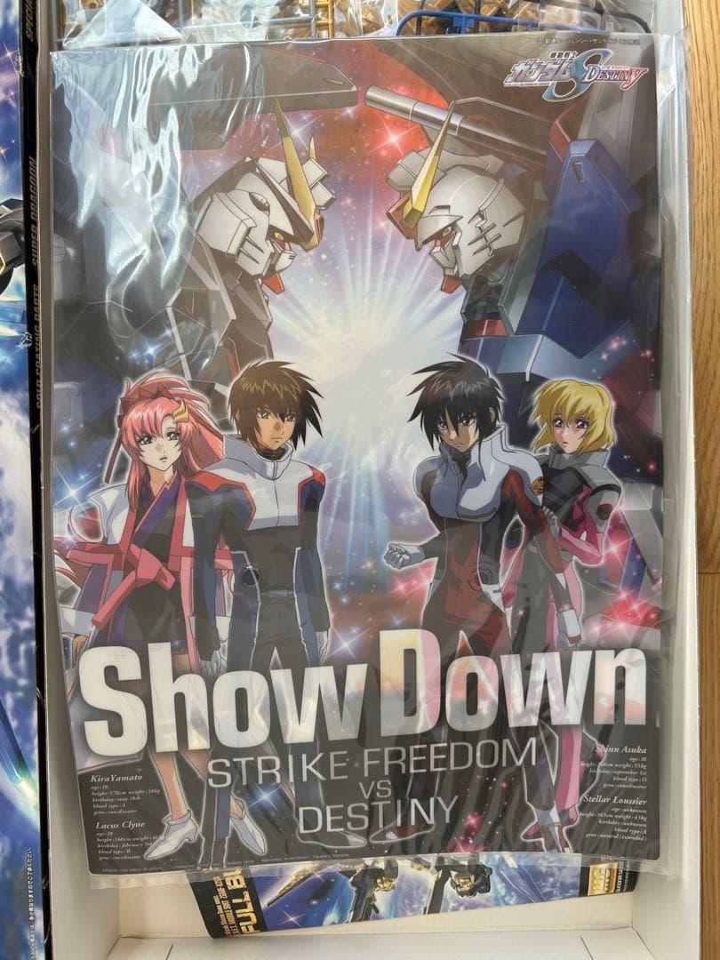 MG ストライクフリーダムガンダム フルバーストモード 1/100