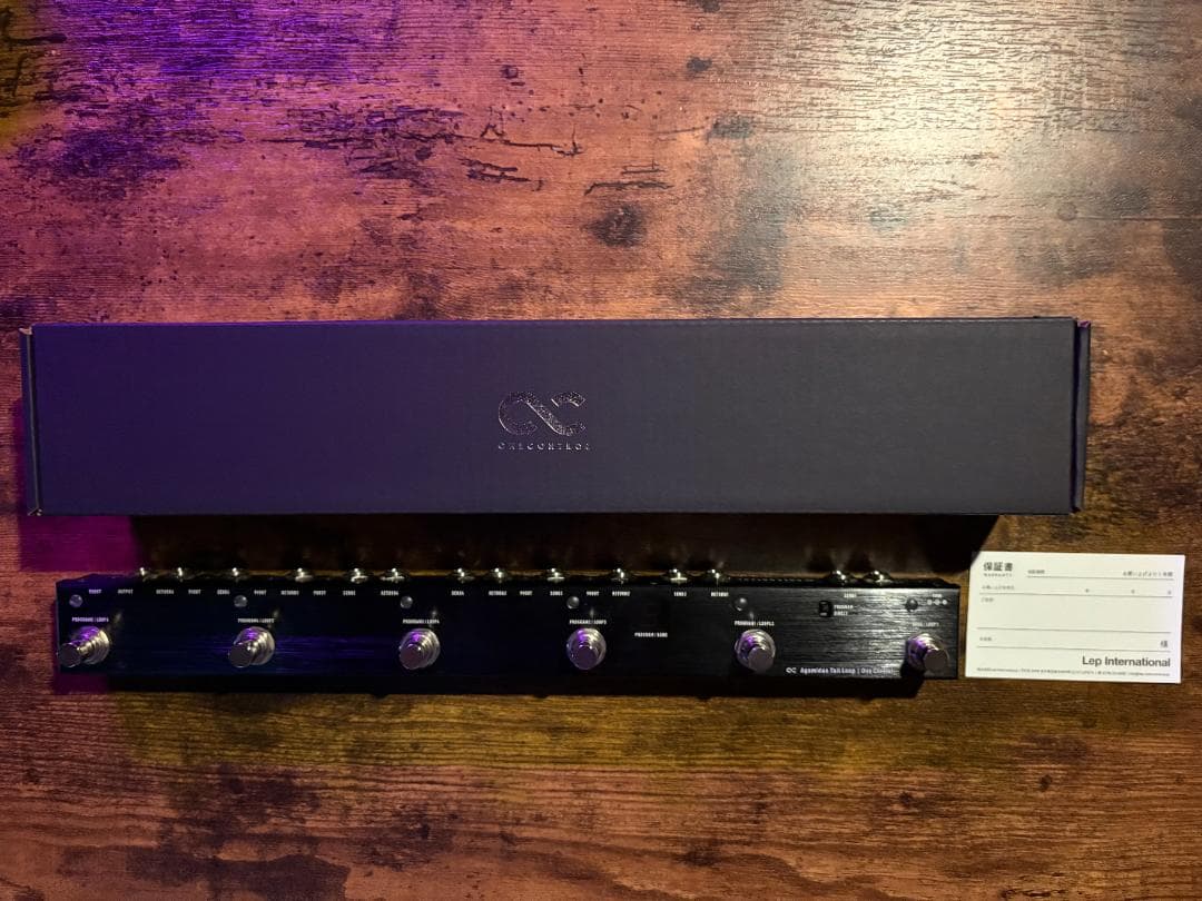 ギター One Control - Agamidae Tail Loop