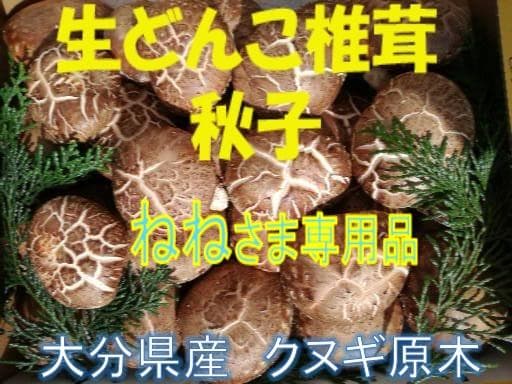 ねねさまご予約専用 大分県特産 生どんこ椎茸「秋子」ダブル 2nd