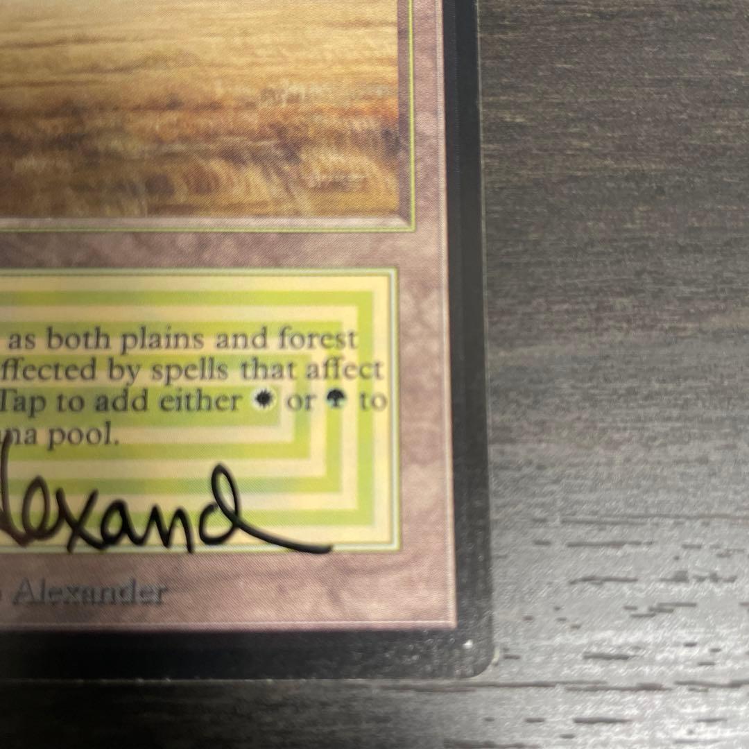 マジック：ザ・ギャザリング Savannah LEB signed