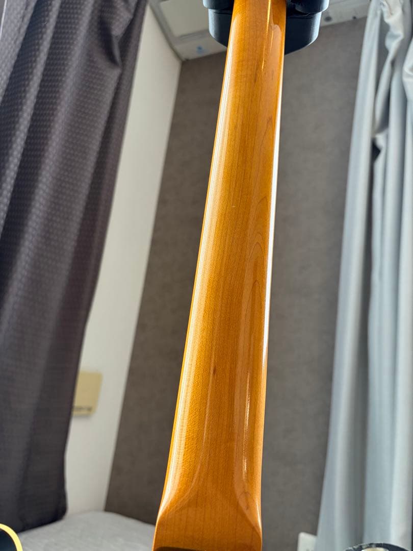 Moon Reggae master RM-DXII レゲエマスター