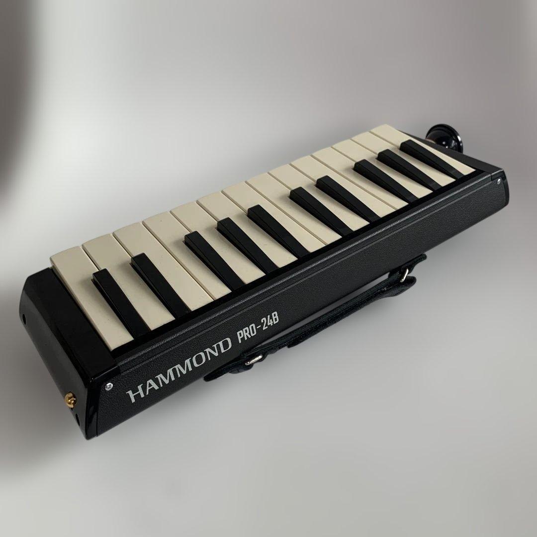 美品 hammond pro-24b 低音 エレキ 鍵盤ハーモニカ bass