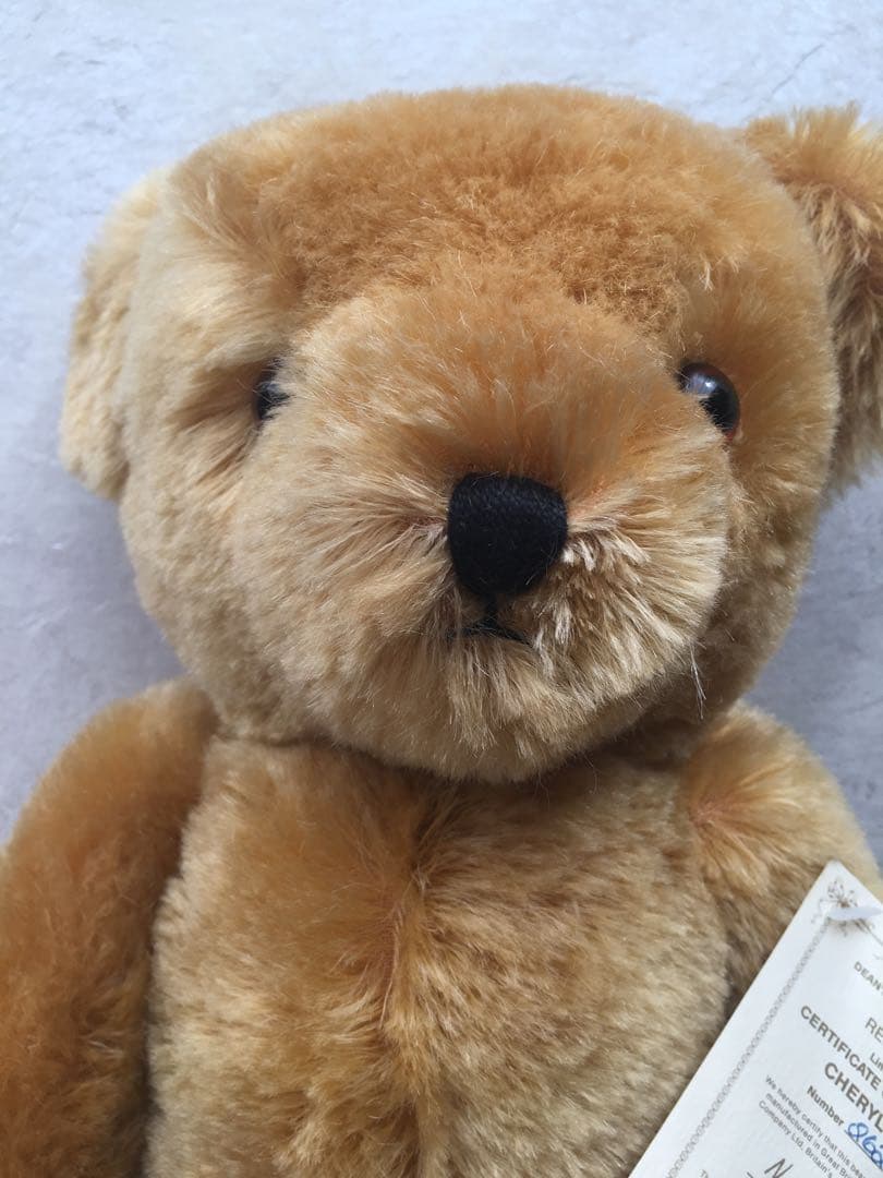 【希少・未使用】DEAN’S RAG BOOK・テディベア　チャーリーベアーズ