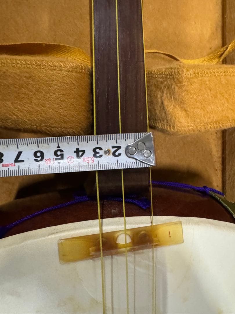 三味線　中棹　ハードケース　花梨