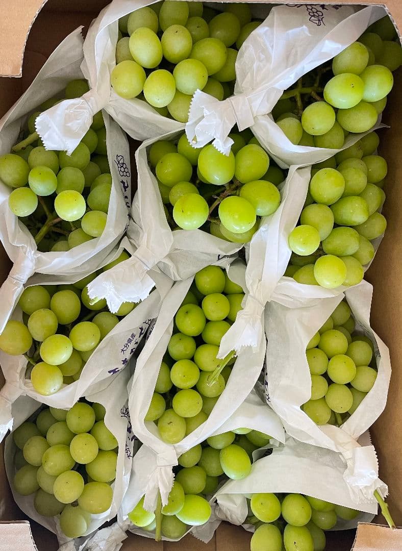 シャインマスカット5kg 房入り 訳あり ラスト