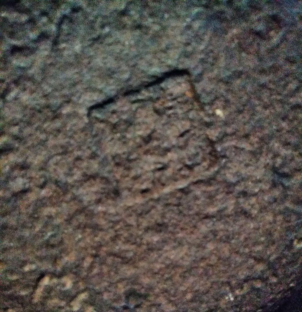 貴重　亀文堂　鉄瓶　明治　未使用品　本物