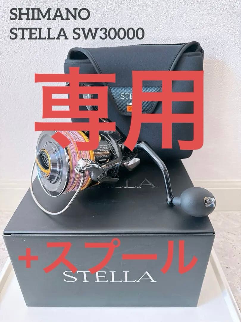 シマノ　ステラ　‘20 SW 30000 スピニングリール STELLA