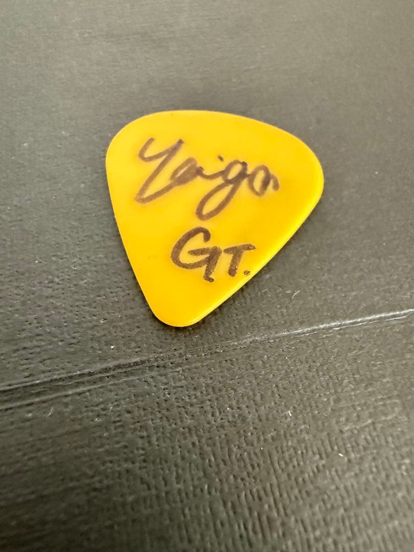 シンガーズハイ　ほりたいが　サイン入りギターピック