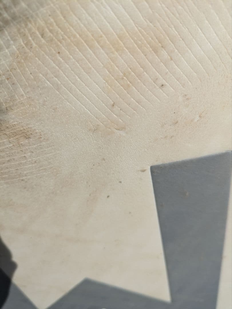 【20日までに引き渡し】ミックファニング　ソフトボード