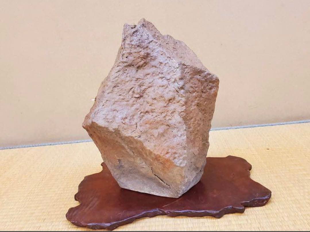 （No122）山野草　水草　鉢　龍聖作　令6