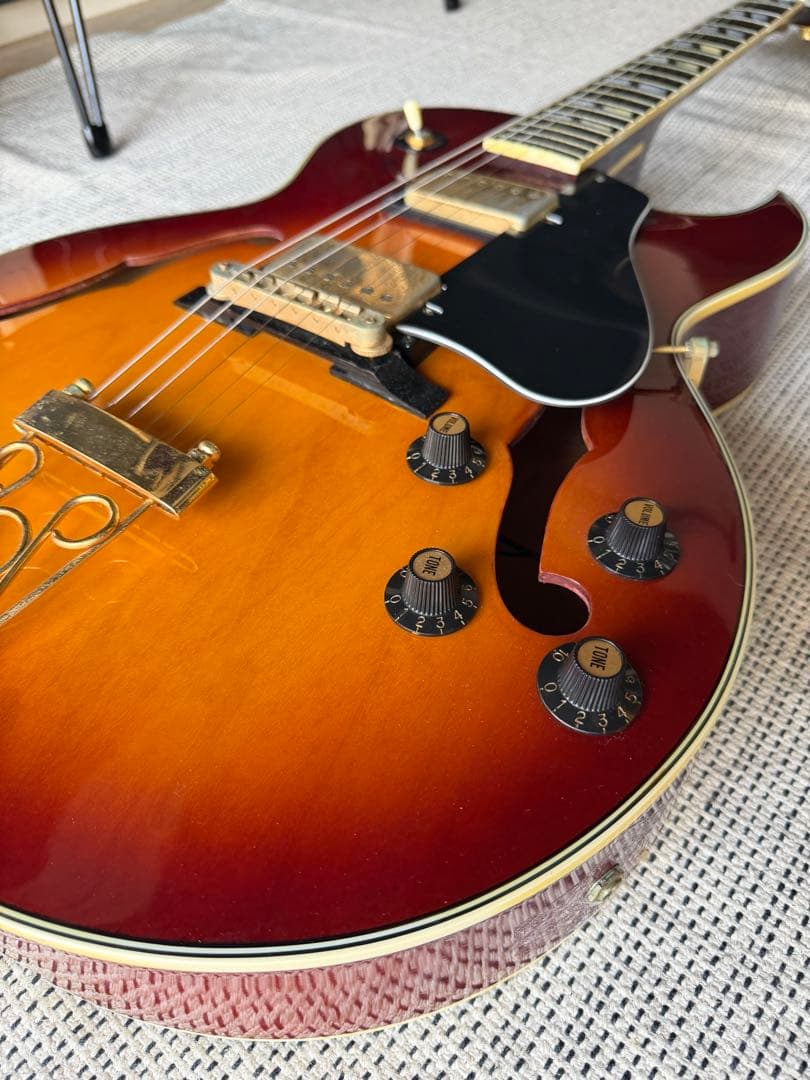 ギター Juno FA-740D