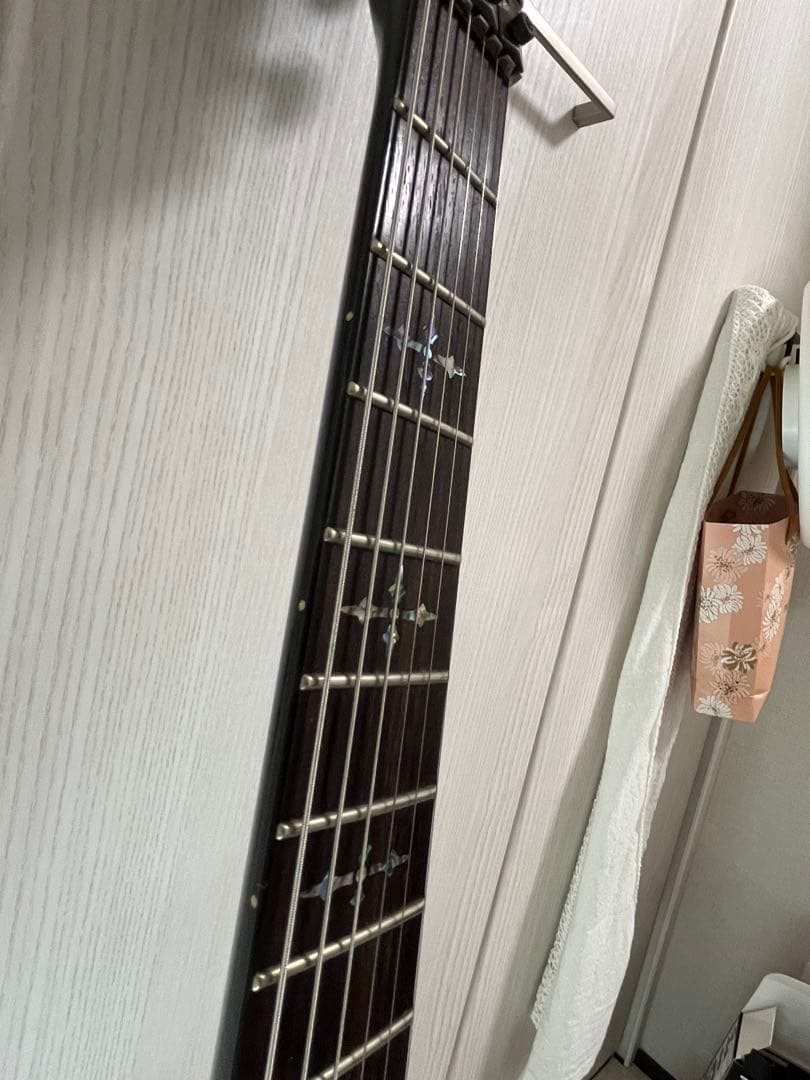 【限定色】Schecter Hellraiser c-1 FR