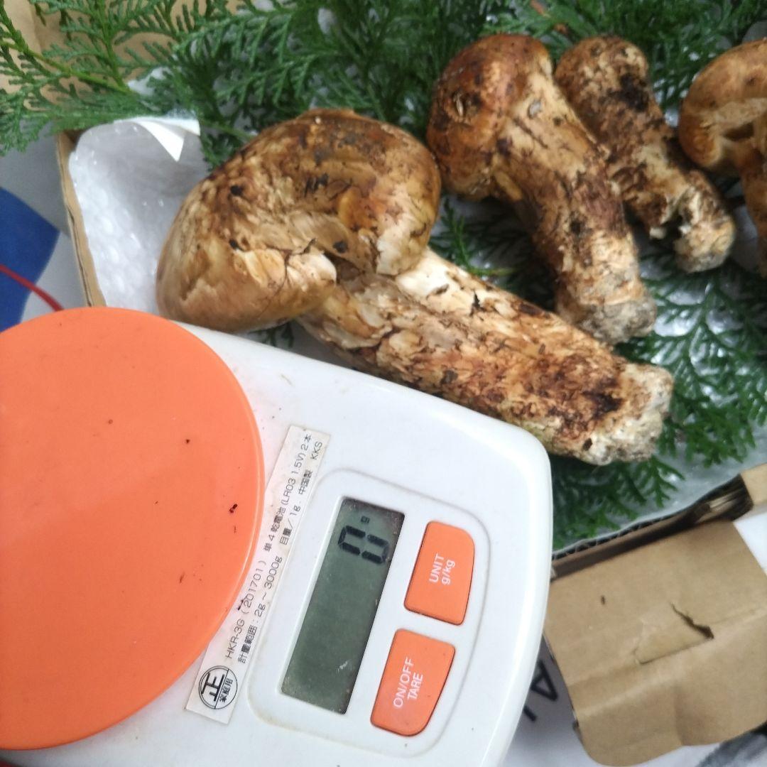 天然、新鮮早松とおまけすだち国産