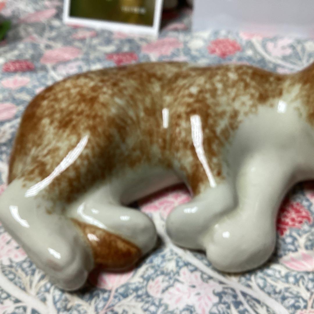 ウィンスタンレイキャットサイズ4の超美人猫SaksFifthAvenue貴重な子