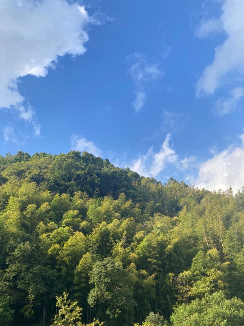 Ark 1 Datum pointさま専用　日本蜜蜂　生ハチミツ　1120g✖️2