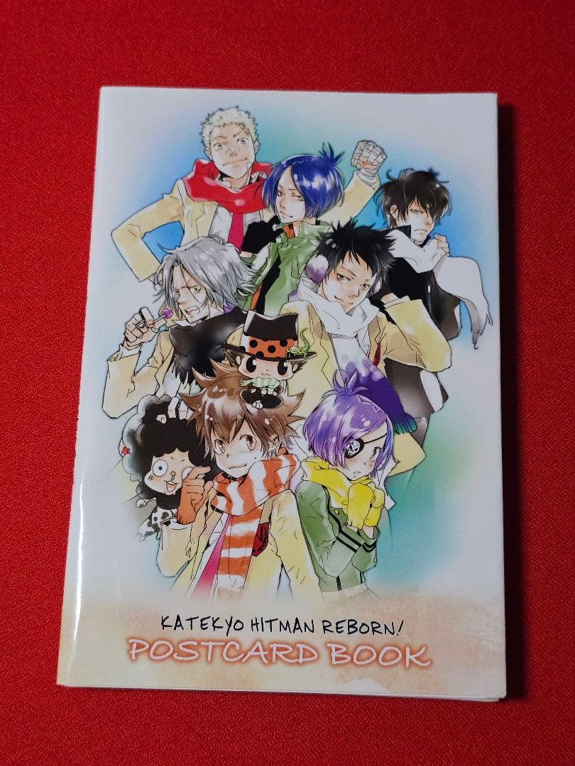 【希少】リボーン　ポストカードブック