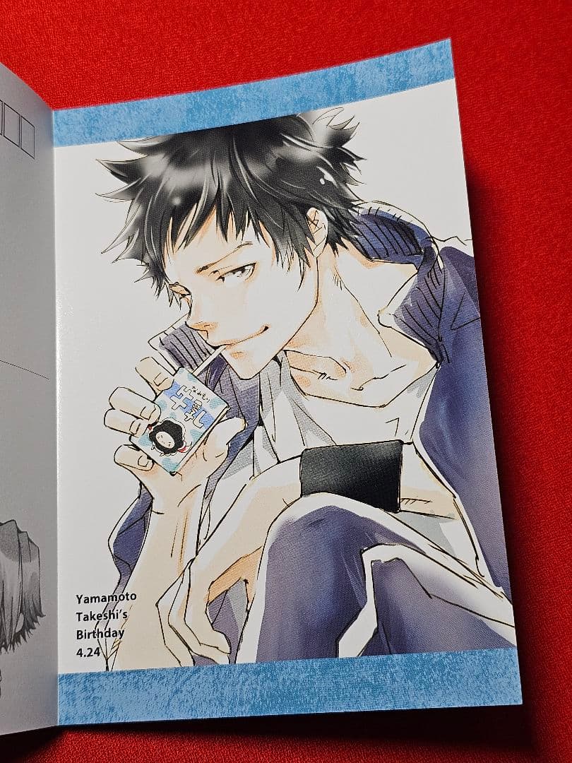 【希少】リボーン　ポストカードブック