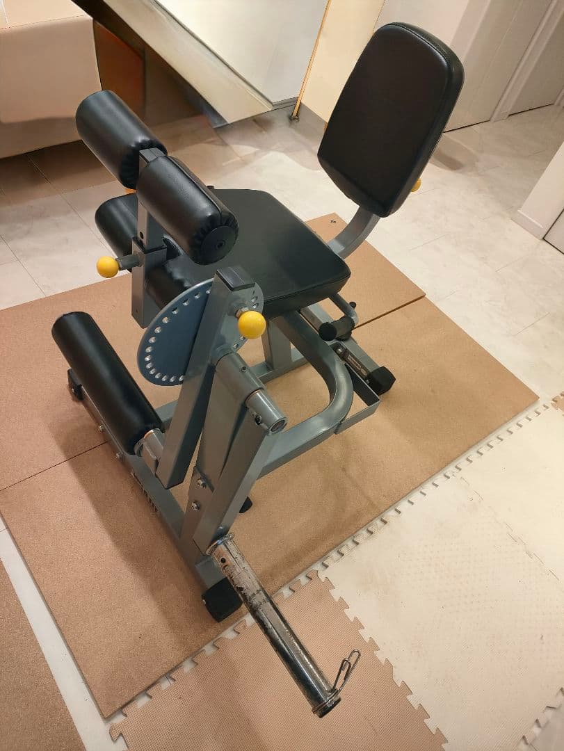 【美品】レッグエクステンション / カール (Φ50)[WILD FIT ]