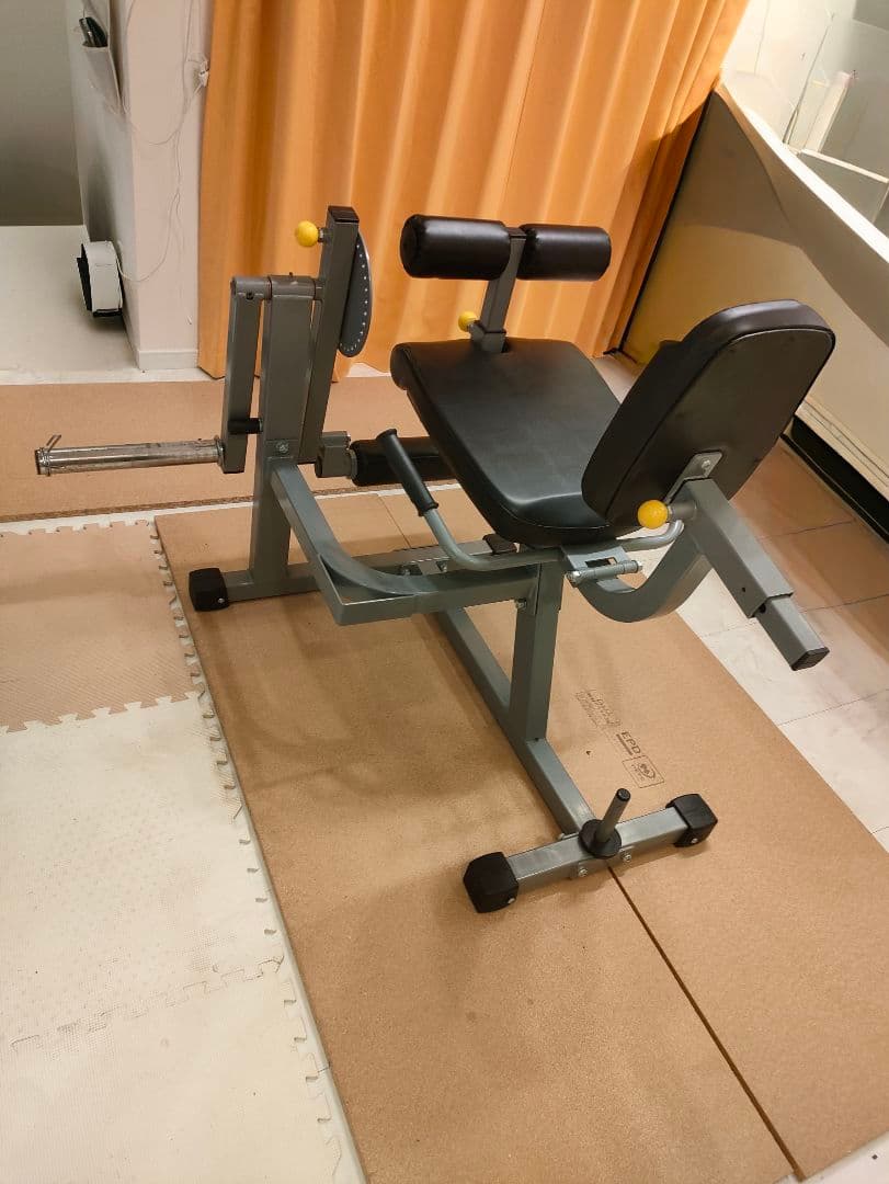 【美品】レッグエクステンション / カール (Φ50)[WILD FIT ]