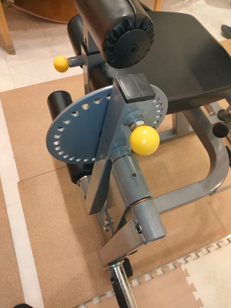 【美品】レッグエクステンション / カール (Φ50)[WILD FIT ]