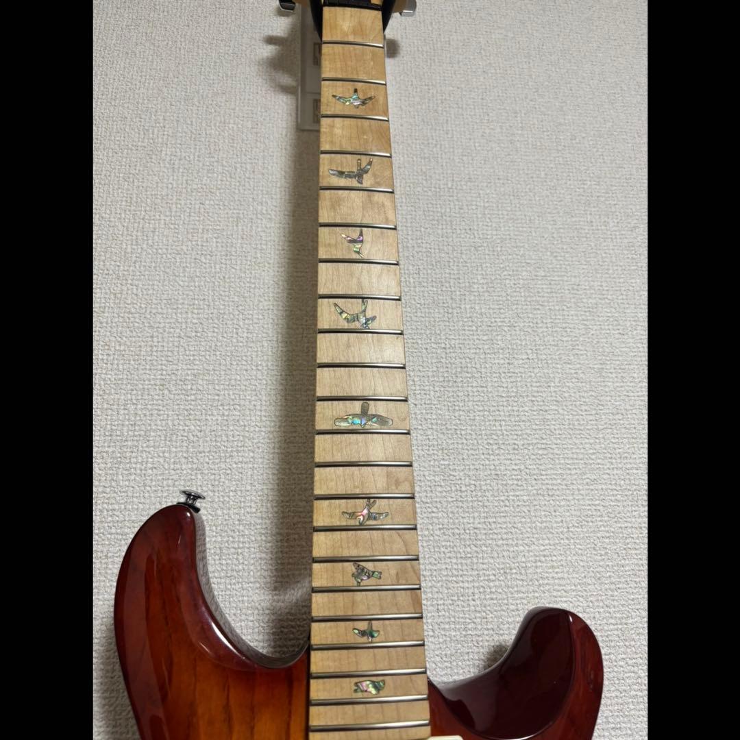 PRS SE Swamp Ash Special 3.5kg良個体2023年製
