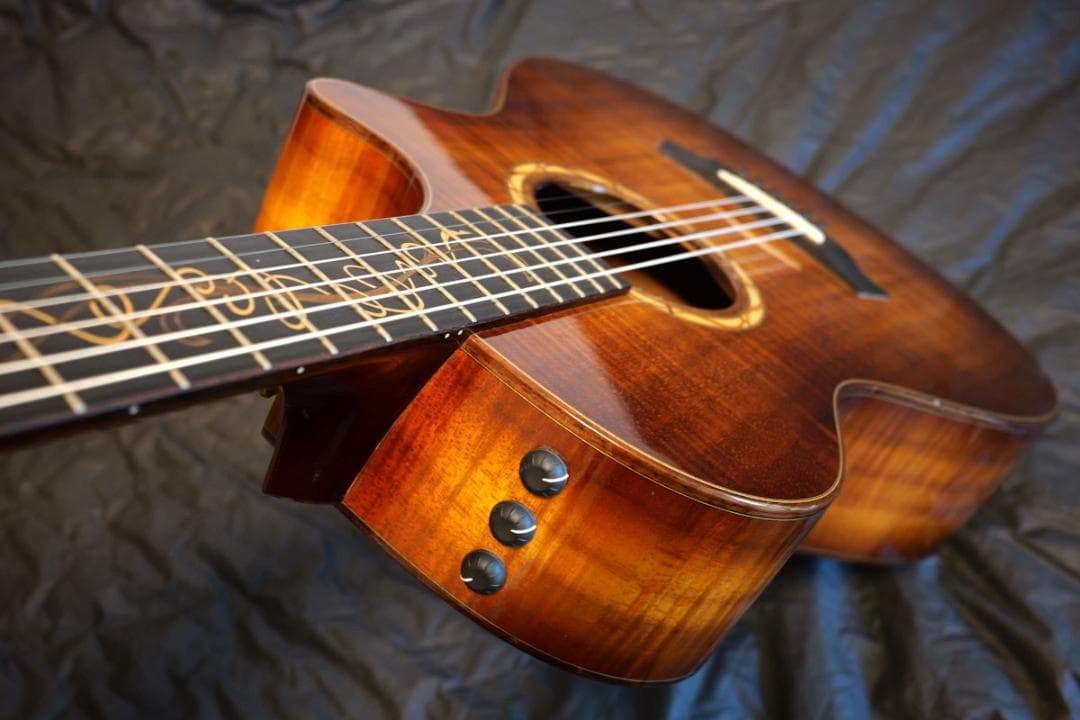 TAYLOR Koa 12-FRET GC-LTD ハワイアンコアオール単板